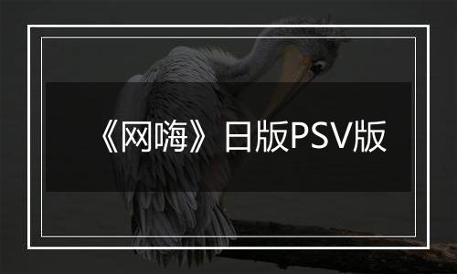 《网嗨》日版PSV版