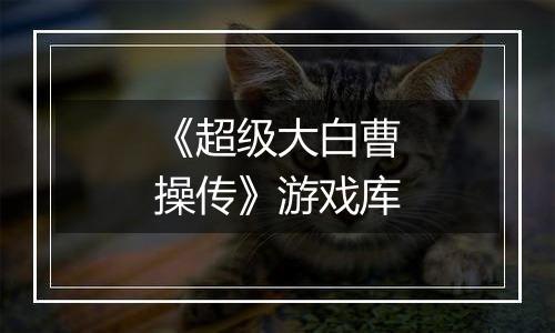 《超级大白曹操传》游戏库