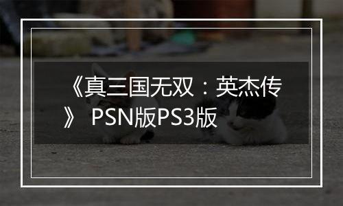 《真三国无双：英杰传》 PSN版PS3版