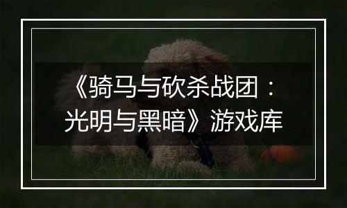 《骑马与砍杀战团:光明与黑暗》游戏库
