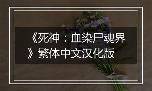 《死神：血染尸魂界》繁体中文汉化版