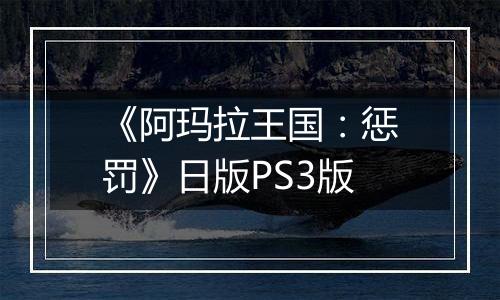 《阿玛拉王国:惩罚》日版PS3版