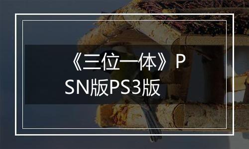 《三位一体》PSN版PS3版