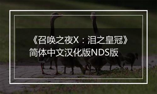 《召唤之夜X：泪之皇冠》简体中文汉化版NDS版