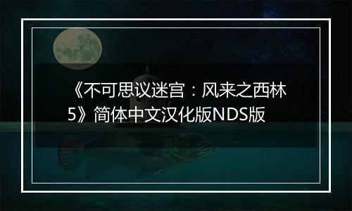 《不可思议迷宫：风来之西林5》简体中文汉化版NDS版