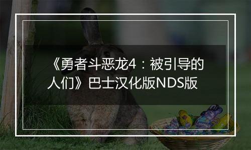 《勇者斗恶龙4：被引导的人们》巴士汉化版NDS版