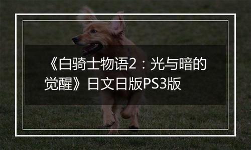 《白骑士物语2:光与暗的觉醒》日文日版PS3版