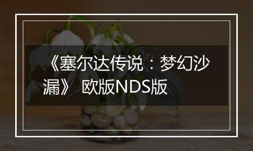 《塞尔达传说：梦幻沙漏》 欧版NDS版