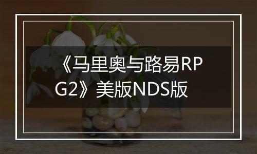 《马里奥与路易RPG2》美版NDS版