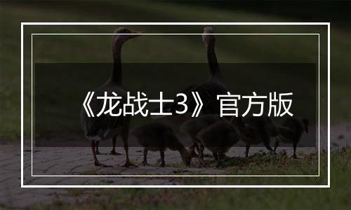 《龙战士3》官方版