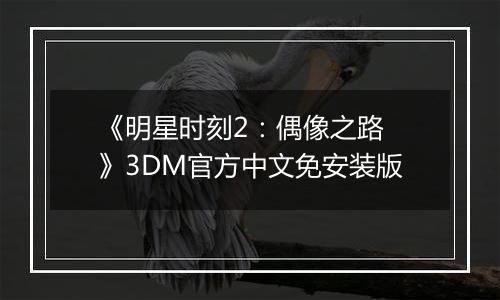 《明星时刻2：偶像之路 》3DM官方中文免安装版