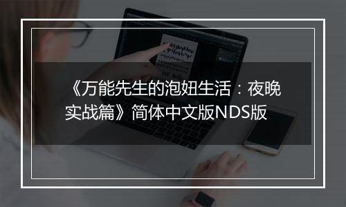 《万能先生的泡妞生活:夜晚实战篇》简体中文版NDS版