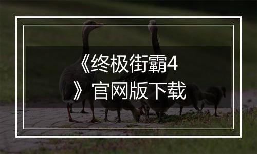 《终极街霸4》官网版下载
