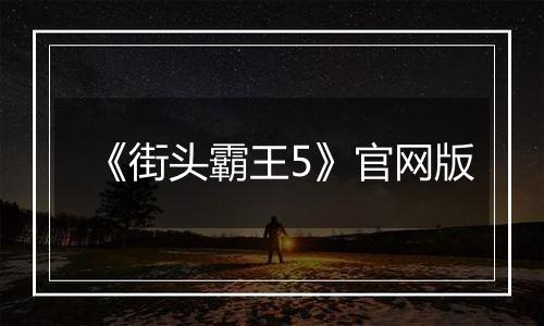 《街头霸王5》官网版