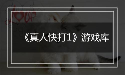 《真人快打1》游戏库