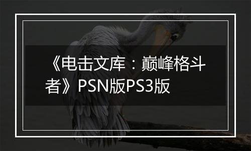 《电击文库：巅峰格斗者》PSN版PS3版