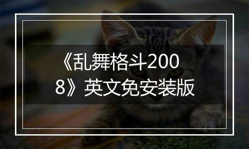 《乱舞格斗2008》英文免安装版