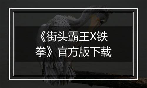 《街头霸王X铁拳》官方版下载