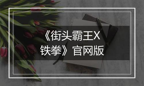 《街头霸王X铁拳》官网版