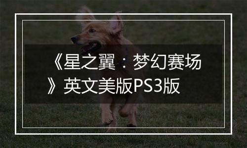 《星之翼：梦幻赛场》英文美版PS3版
