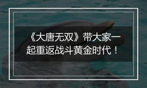 《大唐无双》带大家一起重返战斗黄金时代！