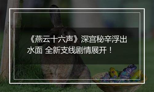 《燕云十六声》深宫秘辛浮出水面 全新支线剧情展开！