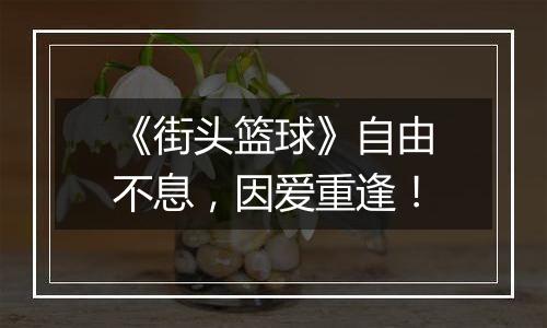 《街头篮球》自由不息，因爱重逢！