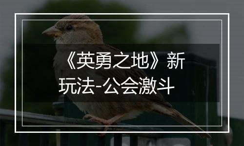 《英勇之地》新玩法-公会激斗