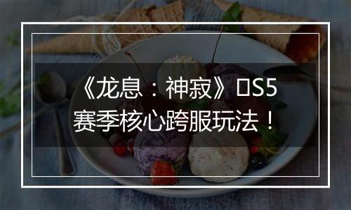 《龙息：神寂》​S5赛季核心跨服玩法！