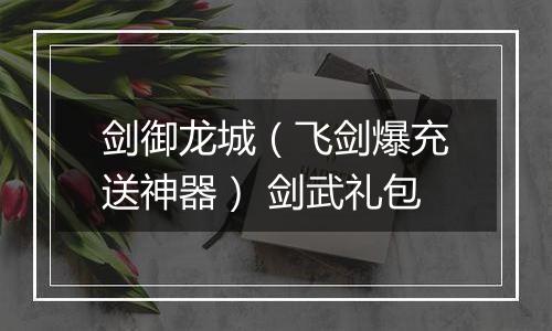 剑御龙城（飞剑爆充送神器） 剑武礼包