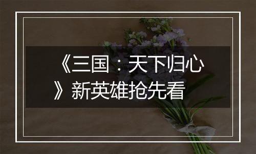 《三国：天下归心》新英雄抢先看