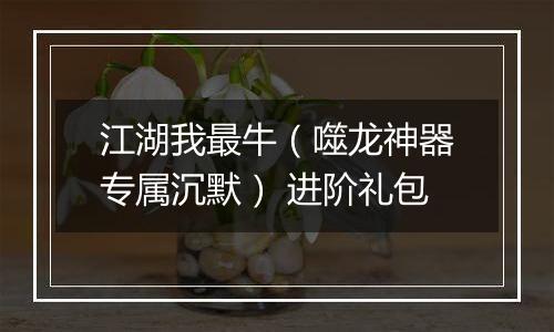 江湖我最牛（噬龙神器专属沉默） 进阶礼包