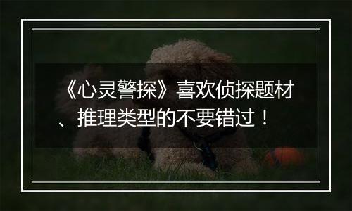 《心灵警探》喜欢侦探题材、推理类型的不要错过！