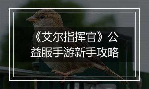 《艾尔指挥官》公益服手游新手攻略