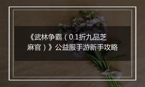 《武林争霸（0.1折九品芝麻官）》公益服手游新手攻略