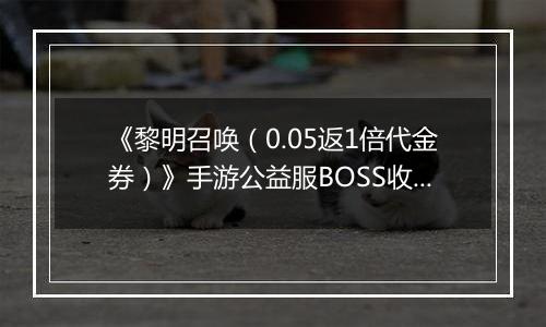《黎明召唤（0.05返1倍代金券）》手游公益服BOSS收益最大化攻略