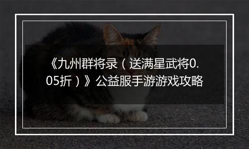《九州群将录（送满星武将0.05折）》公益服手游游戏攻略