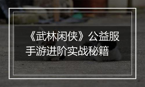 《武林闲侠》公益服手游进阶实战秘籍