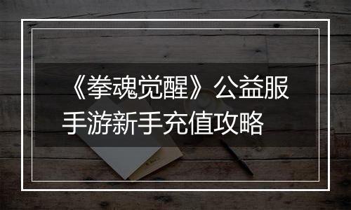 《拳魂觉醒》公益服手游新手充值攻略