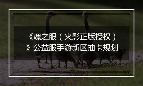 《魂之眼（火影正版授权）》公益服手游新区抽卡规划