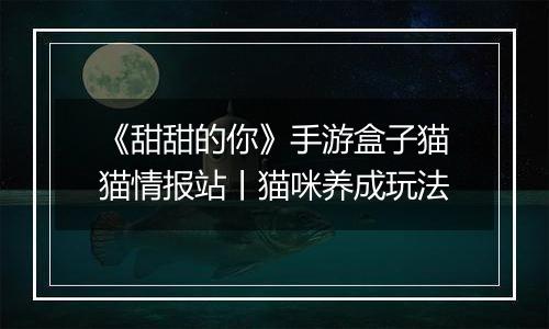 《甜甜的你》手游盒子猫猫情报站丨猫咪养成玩法