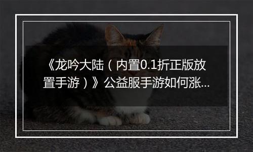 《龙吟大陆（内置0.1折正版放置手游）》公益服手游如何涨战力