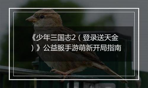《少年三国志2（登录送天金）》公益服手游萌新开局指南