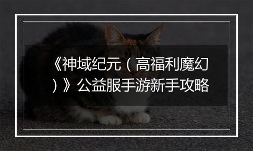 《神域纪元（高福利魔幻）》公益服手游新手攻略