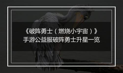 《破阵勇士（燃烧小宇宙）》手游公益服破阵勇士升星一览