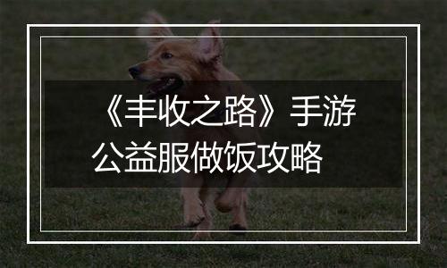 《丰收之路》手游公益服做饭攻略