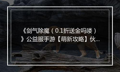 《剑气除魔（0.1折送金吗喽）》公益服手游【萌新攻略】伙伴的选择