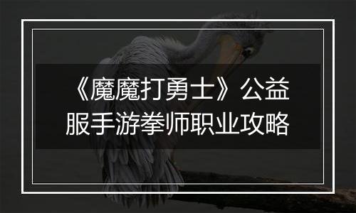 《魔魔打勇士》公益服手游拳师职业攻略