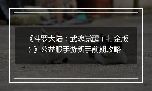 《斗罗大陆：武魂觉醒（打金版）》公益服手游新手前期攻略