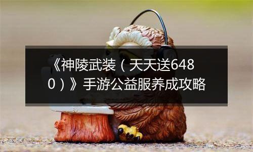 《神陵武装（天天送6480）》手游公益服养成攻略